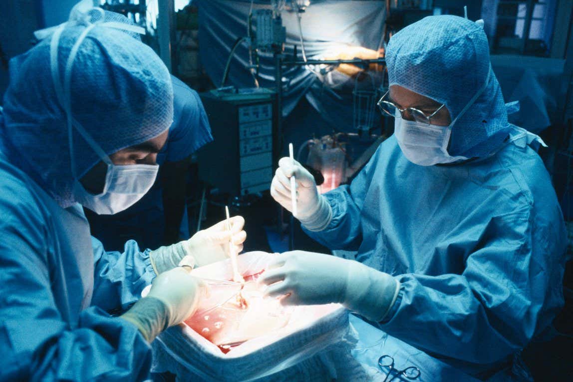A liver transplant