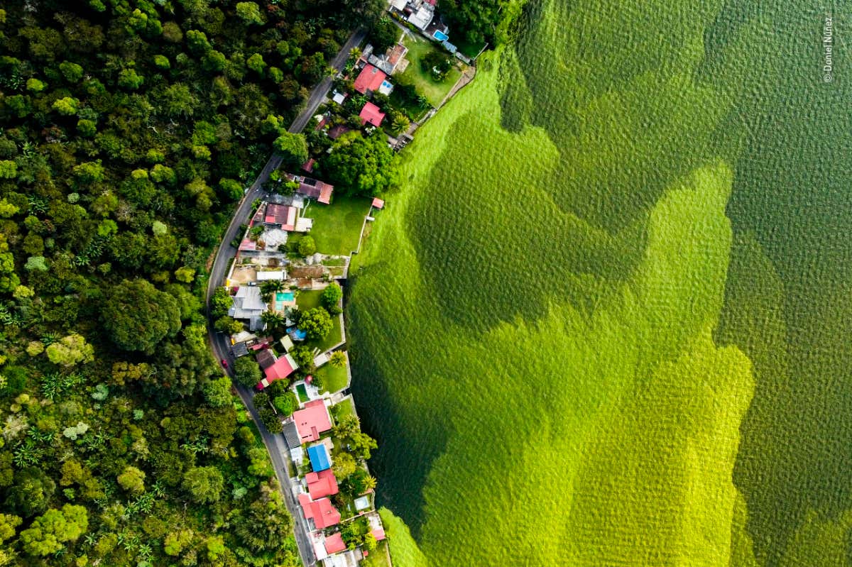 New Scientist. Science news and long reads from expert journalists, covering developments in science, technology, health and the environment on the website and the magazine.