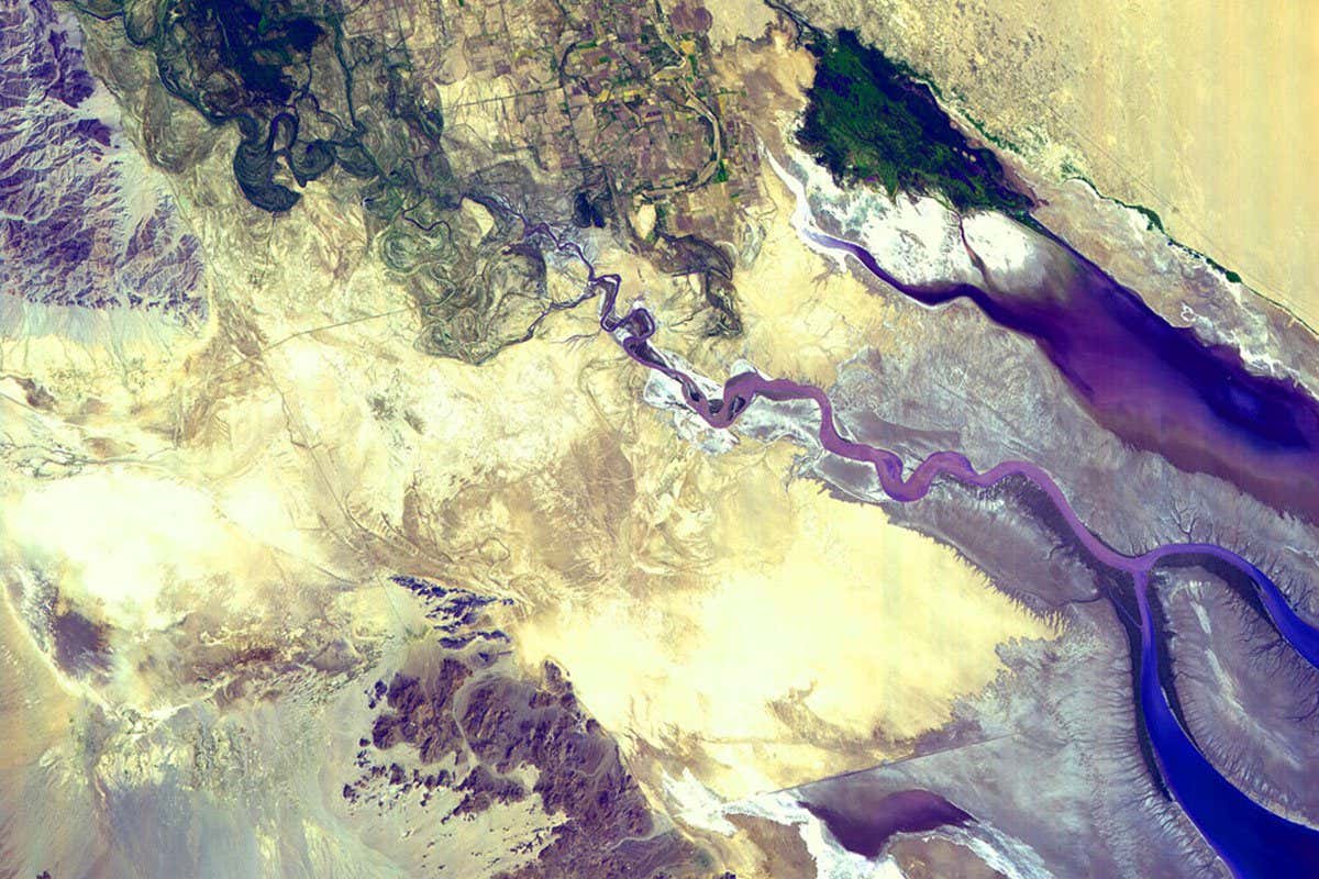 Colorado River Delta