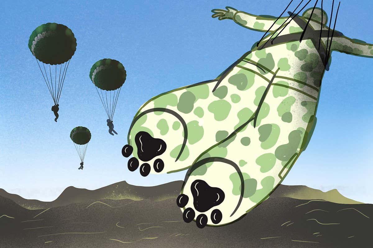 New Scientist. Science news and long reads from expert journalists, covering developments in science, technology, health and the environment on the website and the magazine.