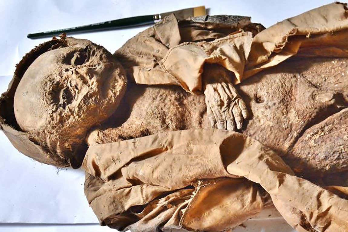 The infant mummy of the Hellmons?dt crypt. Overview of the complete body with the silk coat