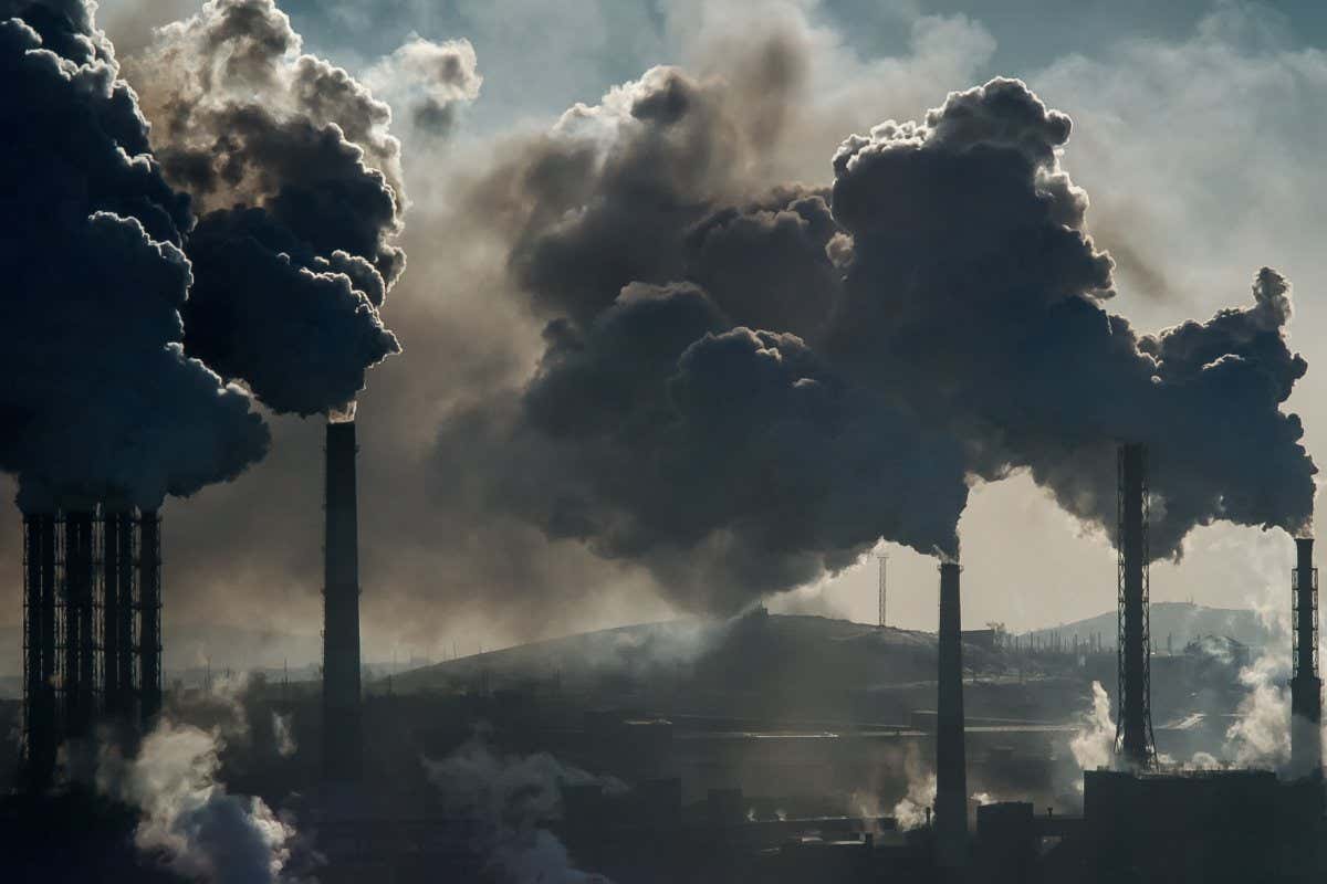 Ecological catastrophy