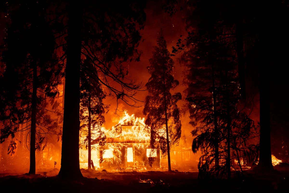 A house burning in a forest fire