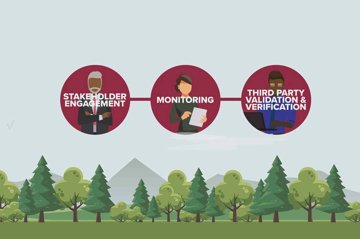 Setting the standard for carbon projects