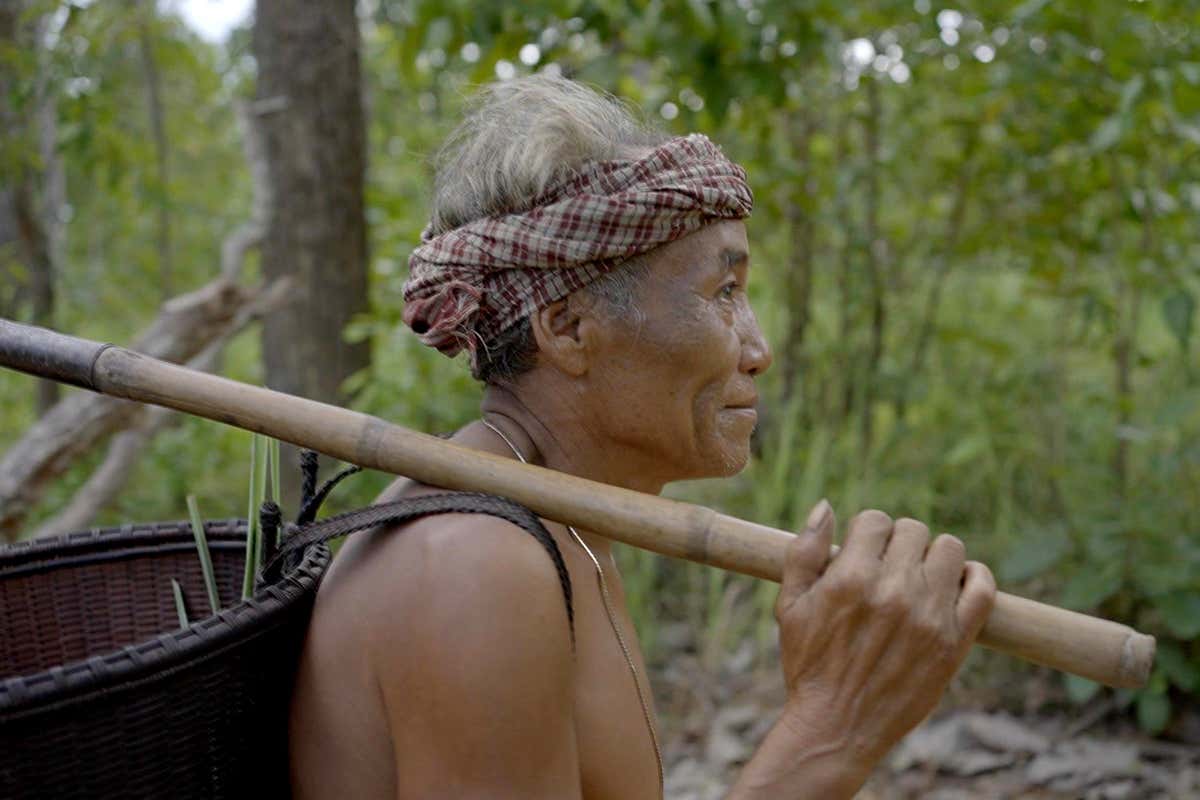 Prosperity through forest protection