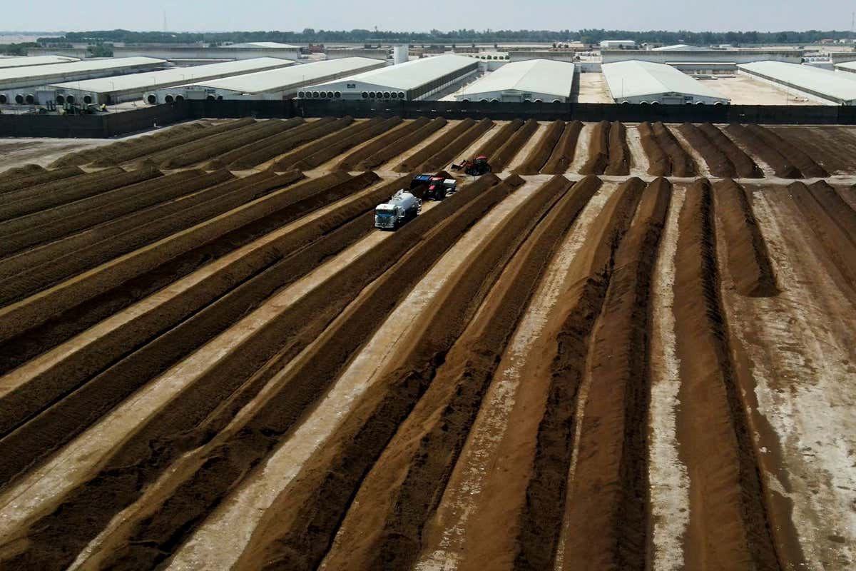 Meeting global carbon goals