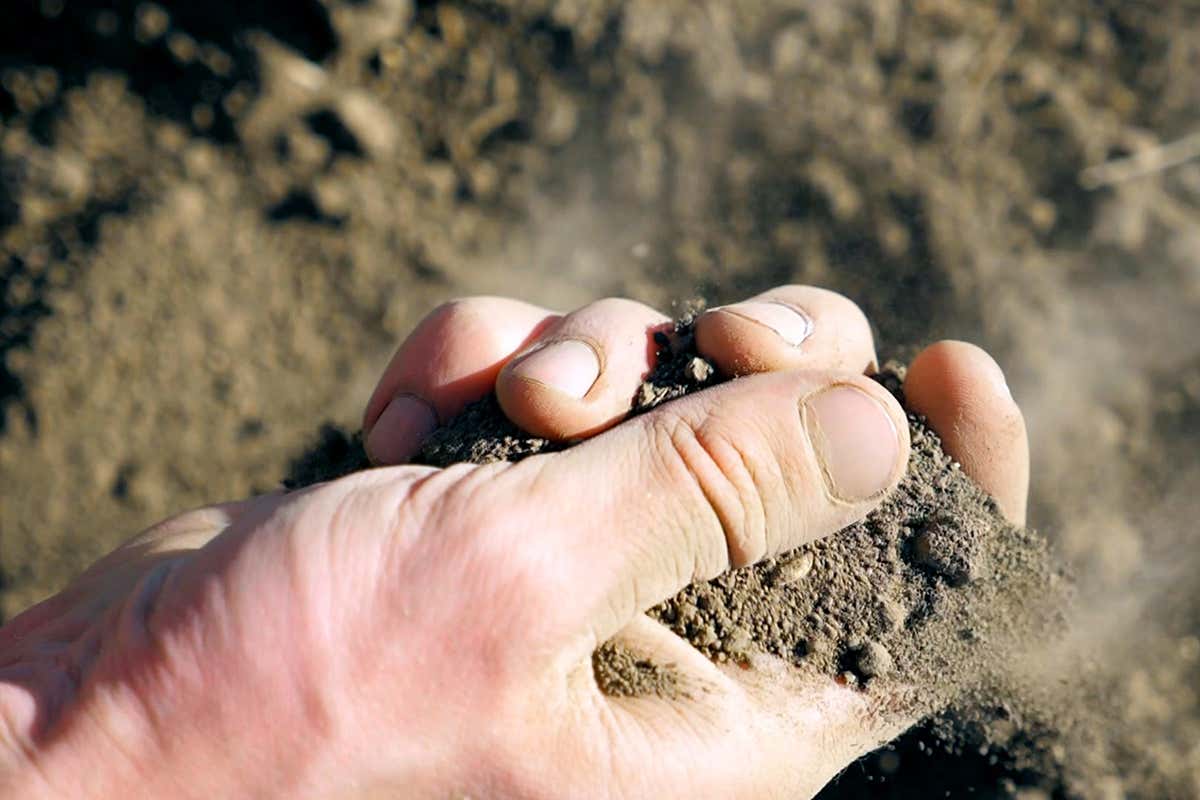 Unlocking plant potential