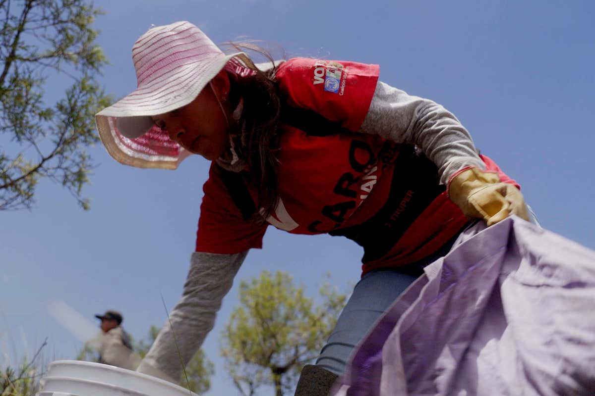 Satellites and sustainability