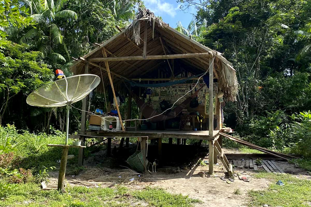 Navigating carbon markets