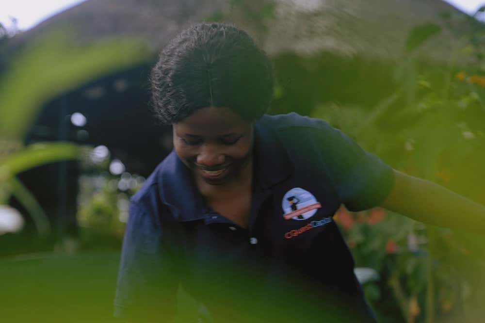 A climate-resilient future