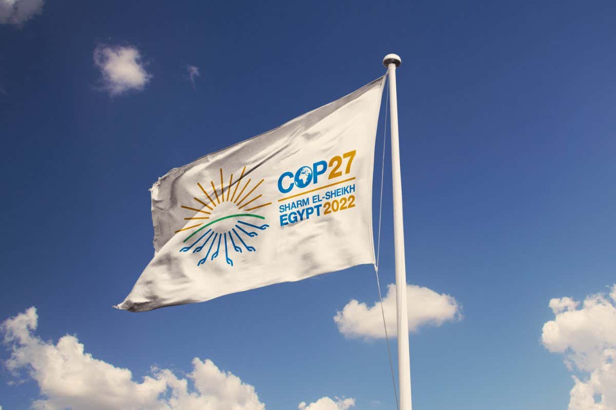 COP27 flag