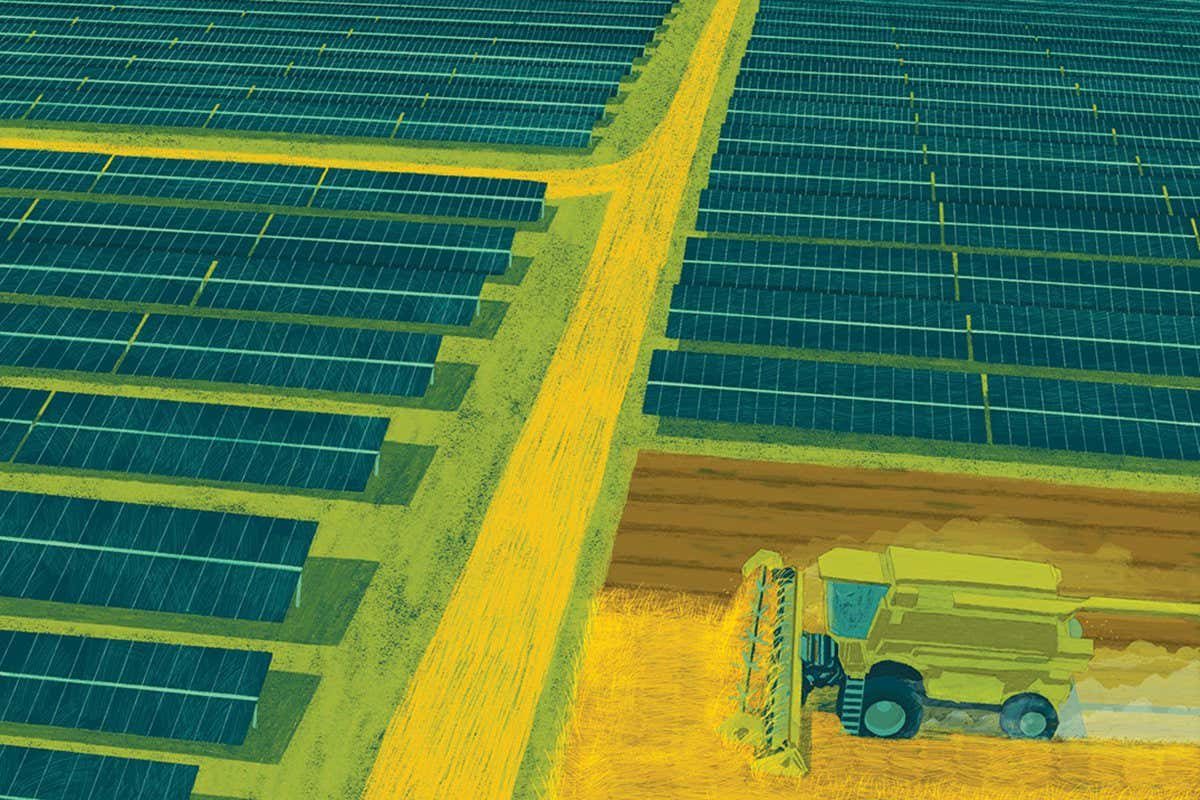 Banning solar plants on farmland in England would be a grave error