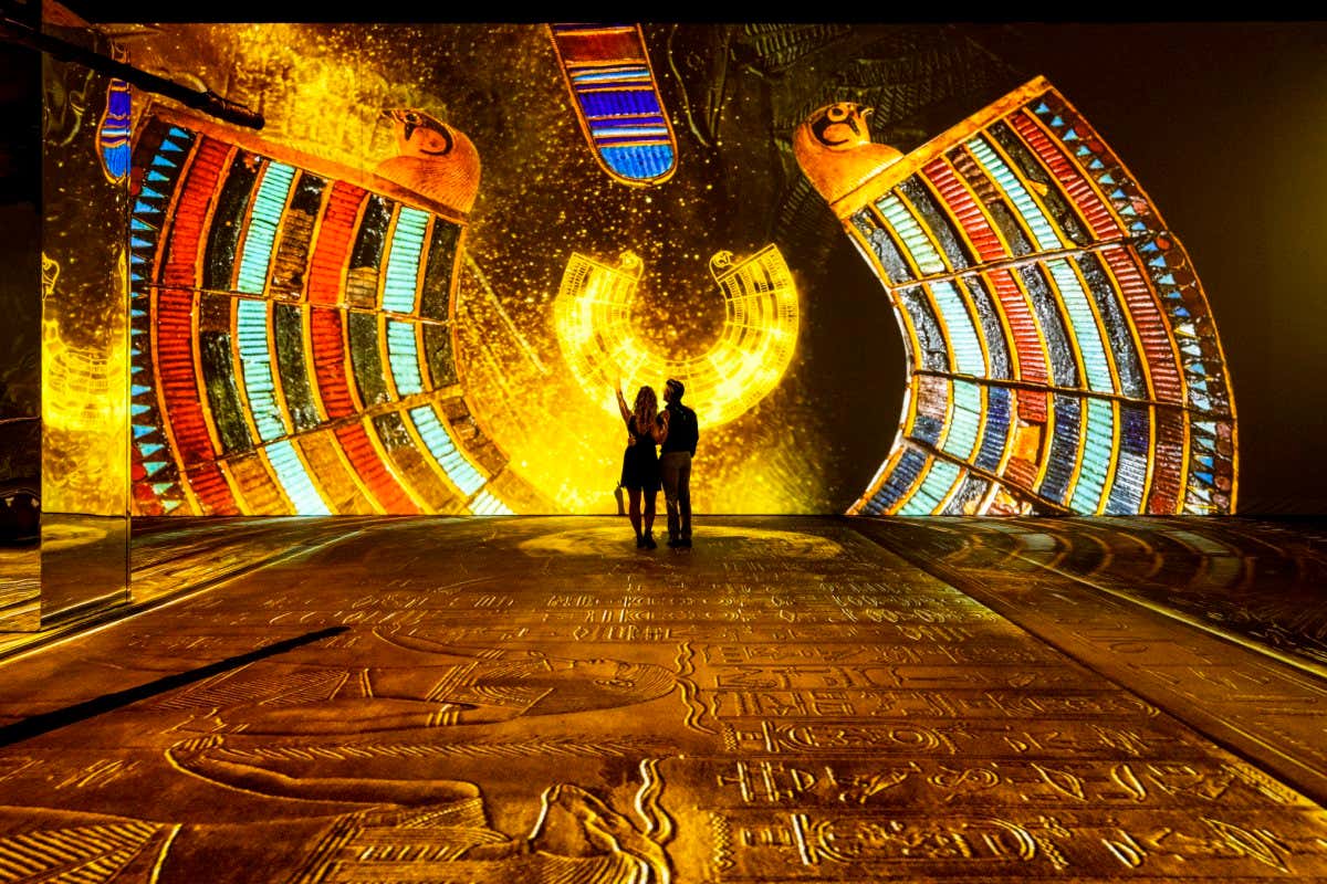 New Scientist. Science news and long reads from expert journalists, covering developments in science, technology, health and the environment on the website and the magazine.