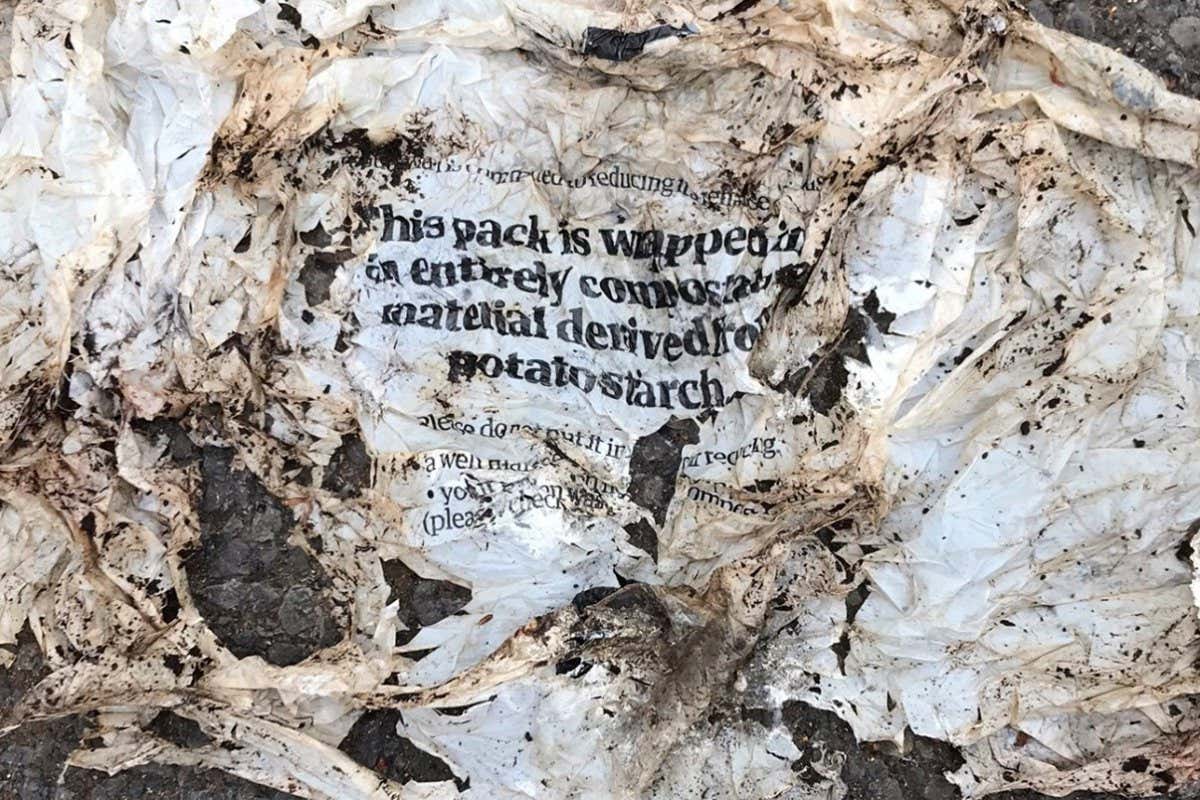 Compostable plastic that has not fully disintegrated in a compost bin