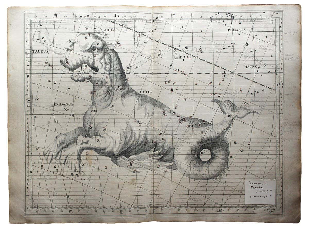 New Scientist. Science news and long reads from expert journalists, covering developments in science, technology, health and the environment on the website and the magazine.