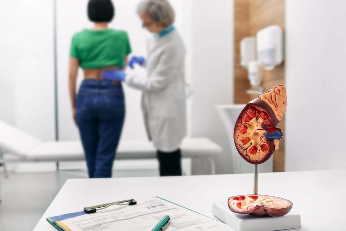 Treatment of kidney diseases at urology. Urologist palpation woman's back with kidney pain while consultation at medical clinic