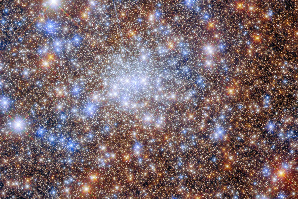 A glittering multitude of stars