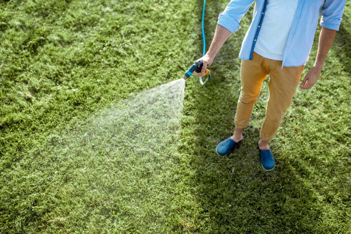 WXFHW9 Man watering green lawn, sprinkling water on the grass with water pistol, close-up with no face