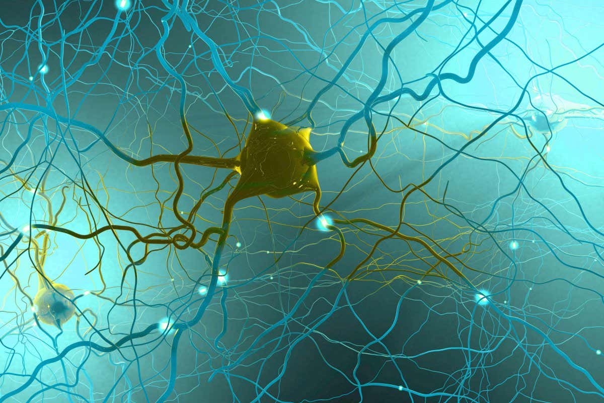 2BYPJ60 Signal transmitting neurons or nerve cells- 3d illustration