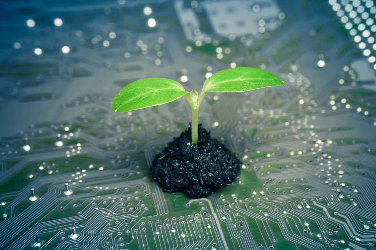tree growing on a computer circuit board / green it / green computing / csr / it ethics; Shutterstock ID 184553570; purchase_order: -; job: -; client: -; other: -