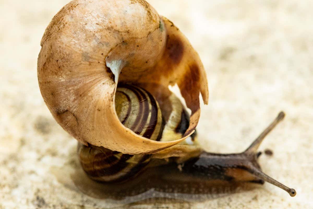 New Scientist. Science news and long reads from expert journalists, covering developments in science, technology, health and the environment on the website and the magazine.