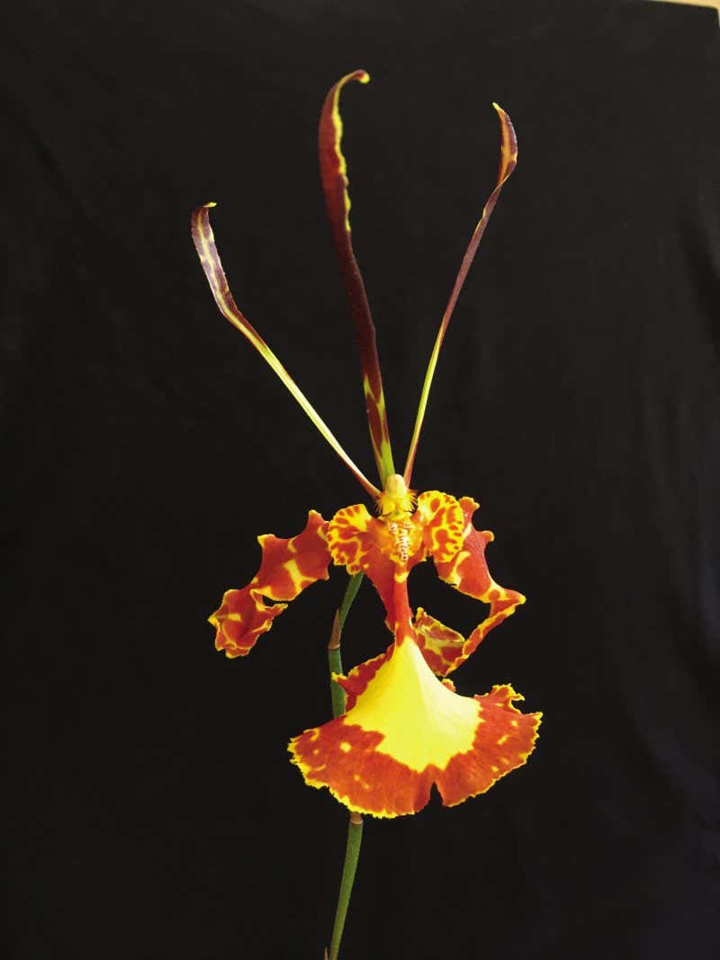 New Scientist. Science news and long reads from expert journalists, covering developments in science, technology, health and the environment on the website and the magazine.