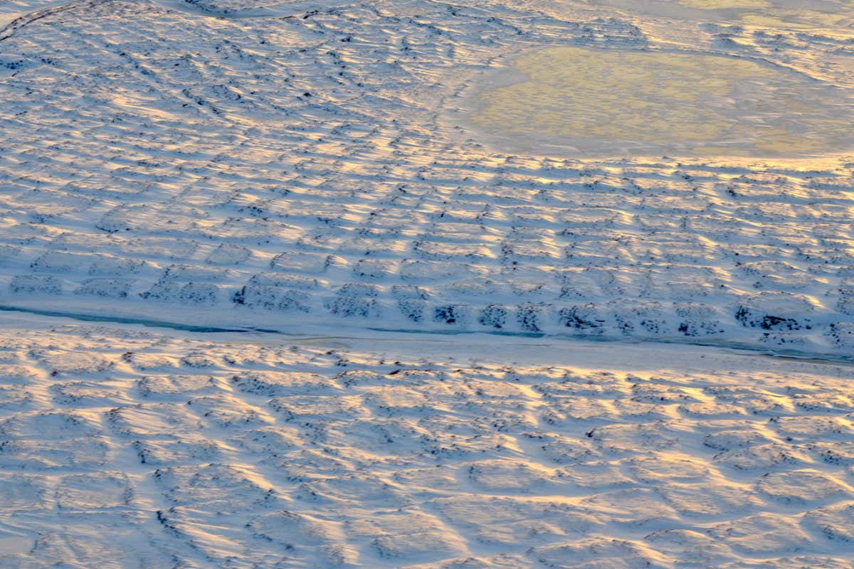 Permafrost in Alaska