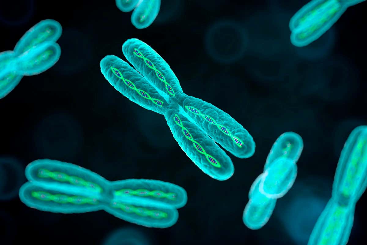 Modern humans that had not long left Africa may have evolved an X chromosome that carried 