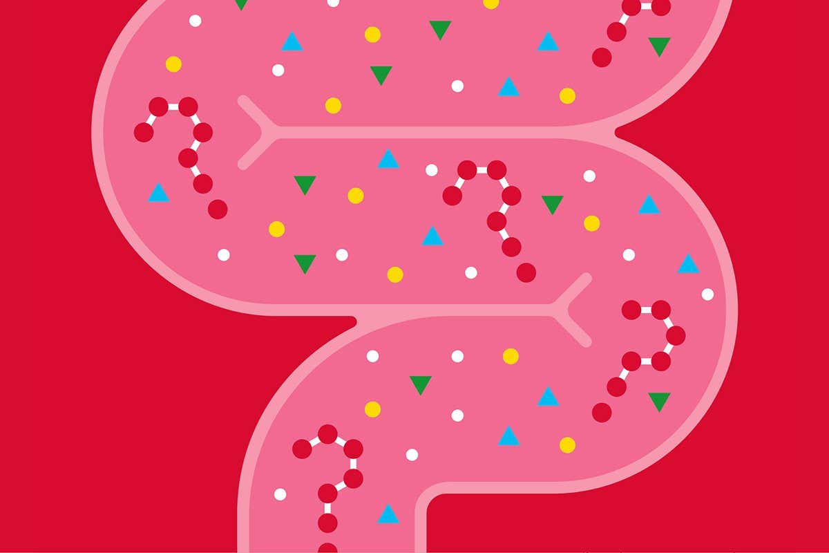 How postbiotics could boost your health and even help reverse ageing