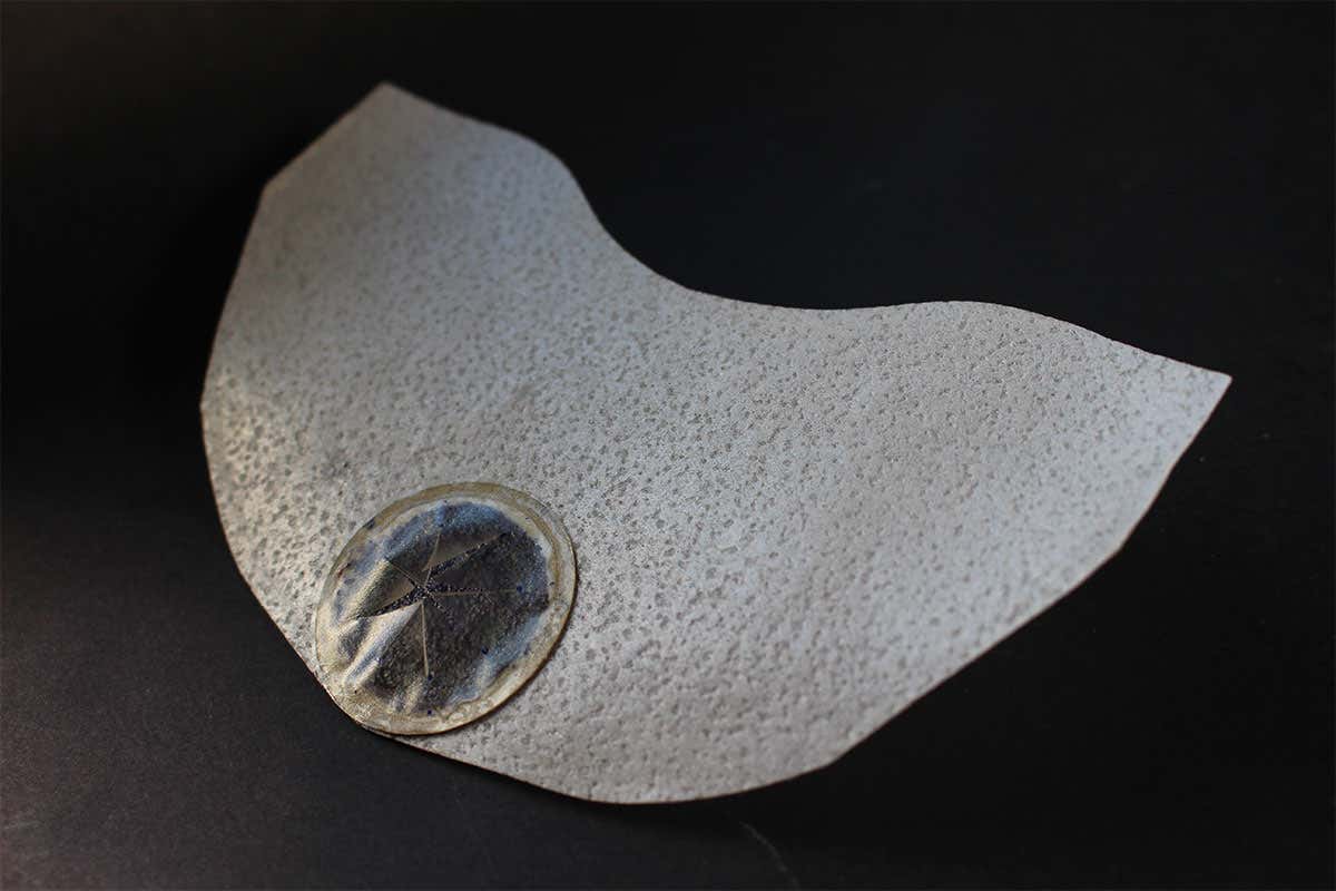 Seed inspired glider