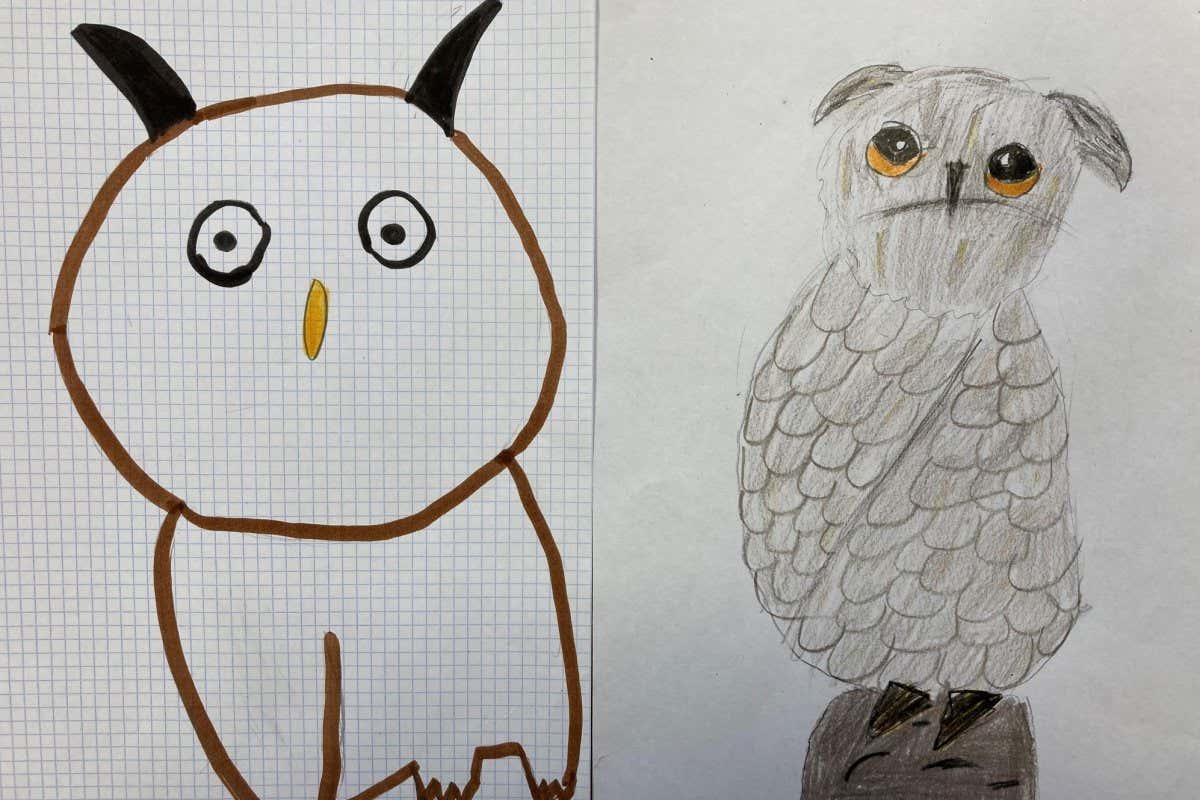 Drawings of owls by children aged 6 - 9 years