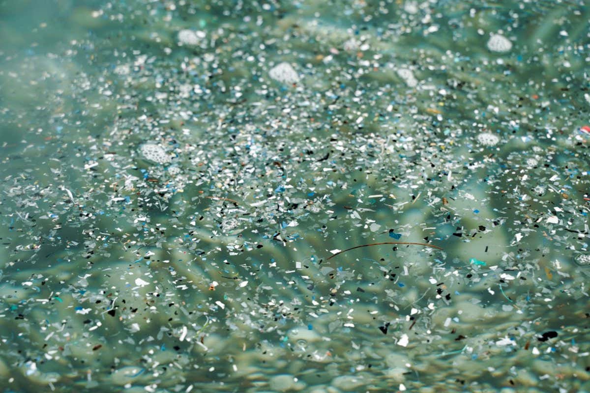 Microplastic pollution of the sea