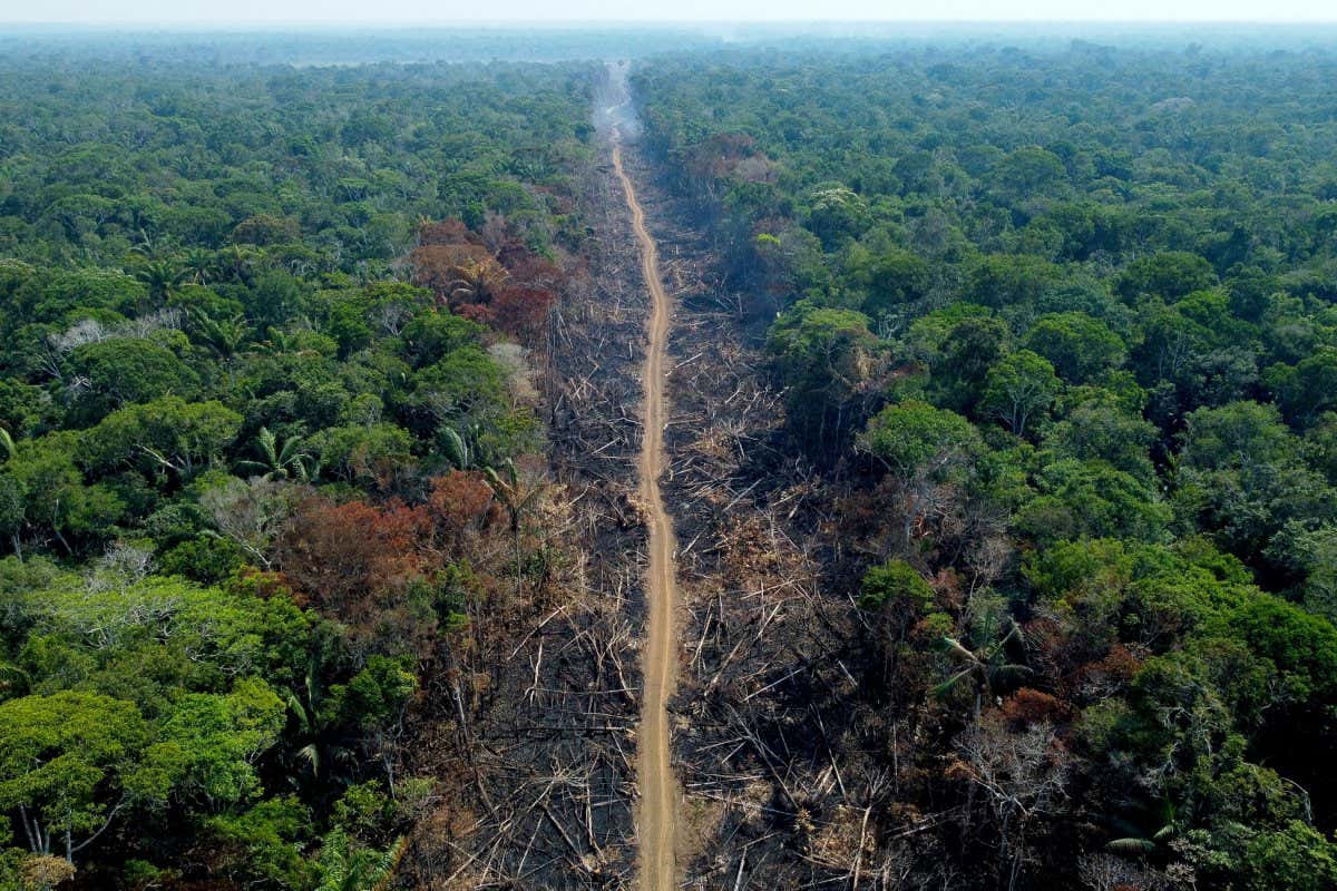 TOPSHOT - A deforested and burnt area is seen on a stretch of the BR-230 (Transamazonian highway) in Humait??, Amazonas State, Brazil, on September 16, 2022. - According to the National Institute for Space Research (INPE), hotspots in the Amazon region saw a record increase in the first half of September, being the average for the month 1,400 fires per day. (Photo by MICHAEL DANTAS / AFP) (Photo by MICHAEL DANTAS/AFP via Getty Images)