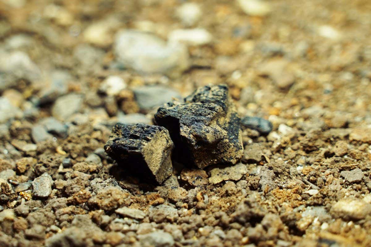 Charcoal used by Homo naledi