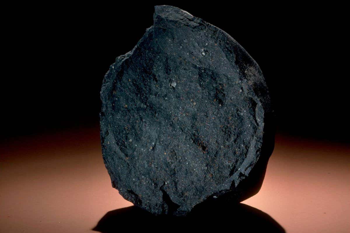 The Murchison meteorite