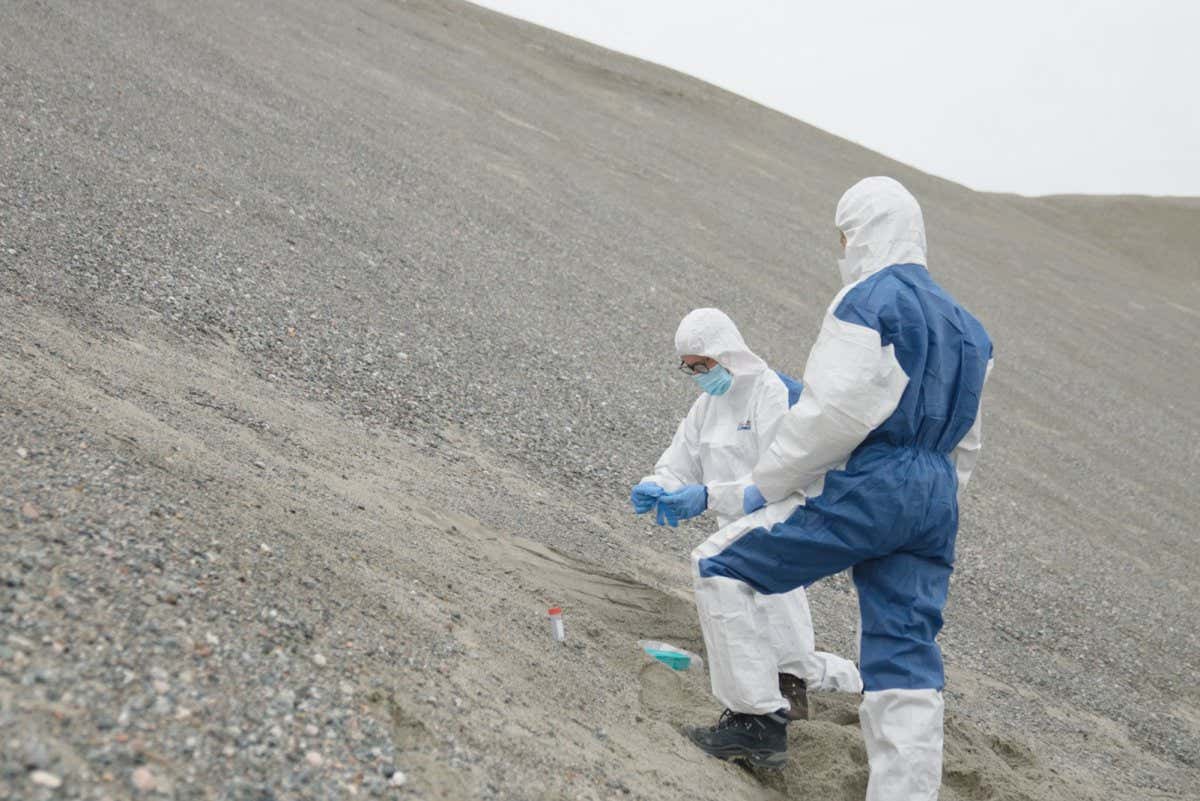 Two researchers in masks and overalls collecting samples on a sandy slope
