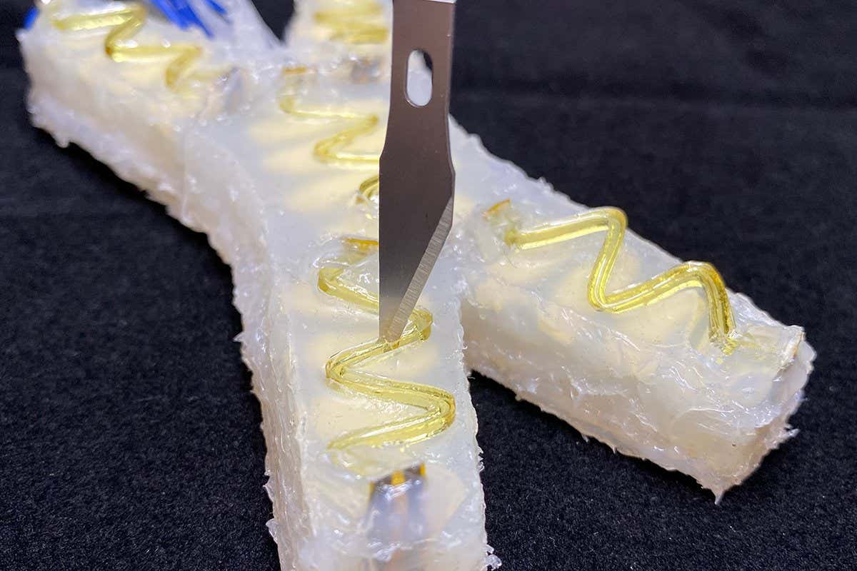 The robot and a scalpel