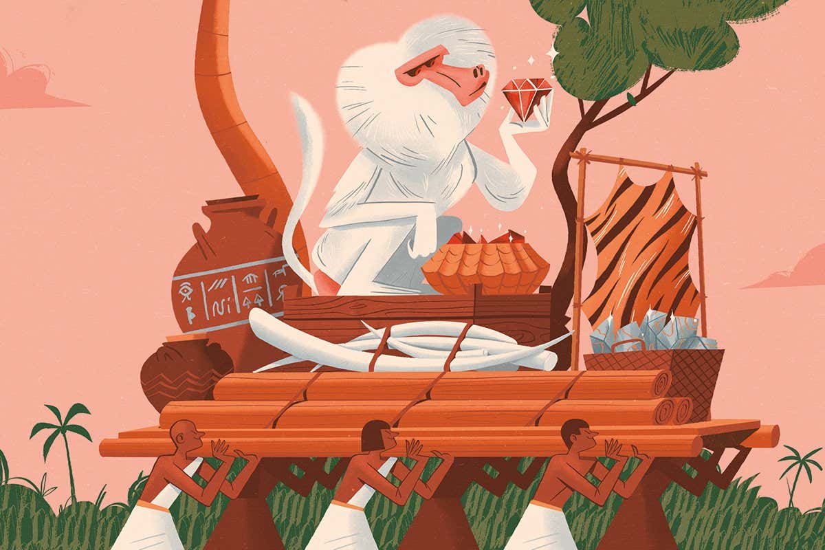 We have finally found the land of Punt, where pharaohs got their gifts