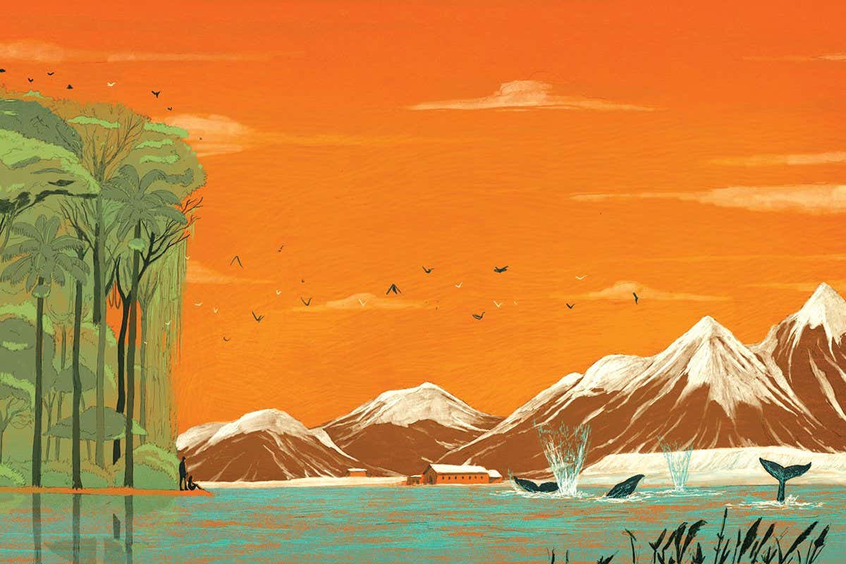 Despite our impact, there were inspiring wildlife wins this year