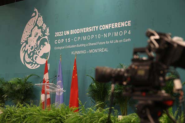 General view of the Negotiation Room ahead of the COP15 UN Biodiversity Conference