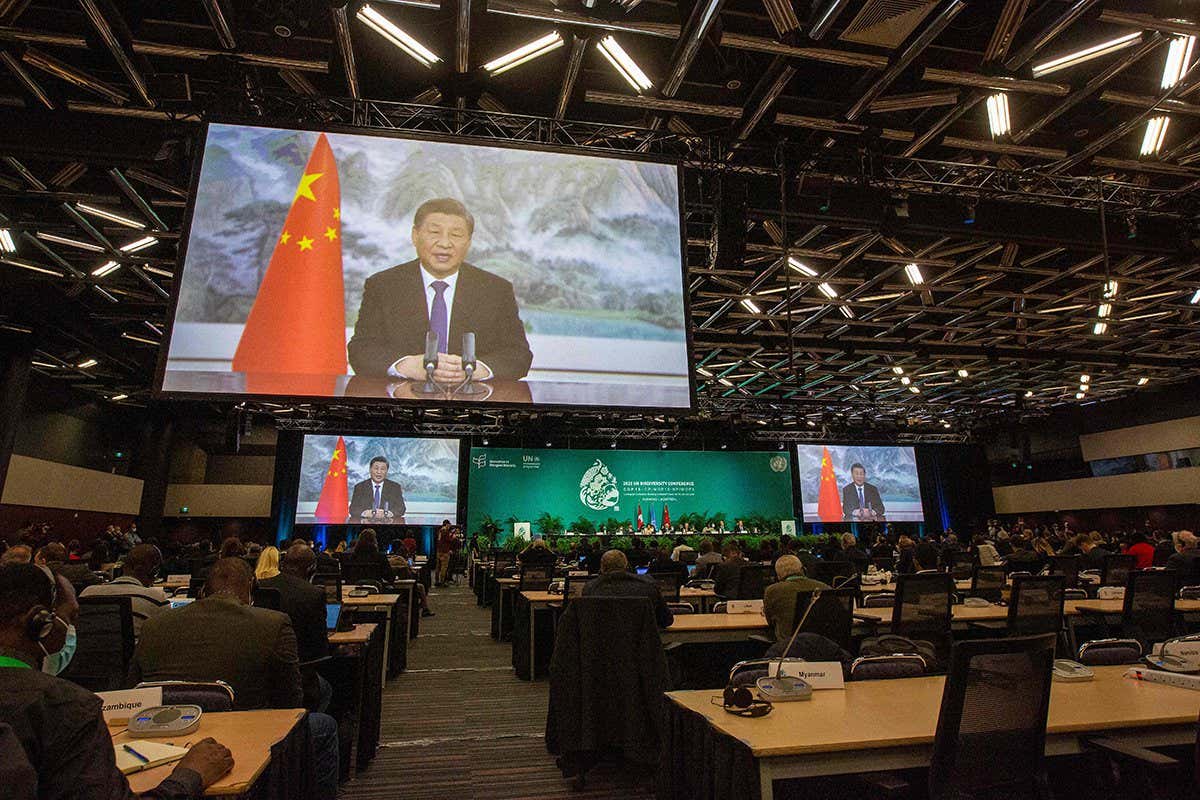 Chinese Xi Jinping addresses the high level segment at the United Nations Biodiversity Conference (COP15) in Montreal, Quebec, on December 15, 2022. (Photo by Lars Hagberg / AFP) / The erroneous mention[s] appearing in the metadata of this photo by Lars Hagberg has been modified in AFP systems in the following manner: [Chinese President Xi Jinping] instead of [Chinese Ecology and Environment Minister Huang Runqiu]. Please immediately remove the erroneous mention[s] from all your online services and delete it (them) from your servers. If you have been authorized by AFP to distribute it (them) to third parties, please ensure that the same actions are carried out by them. Failure to promptly comply with these instructions will entail liability on your part for any continued or post notification usage. Therefore we thank you very much for all your attention and prompt action. We are sorry for the inconvenience this notification may cause and remain at your disposal for any further information you may require. (Photo by LARS HAGBERG/AFP via Getty Images)