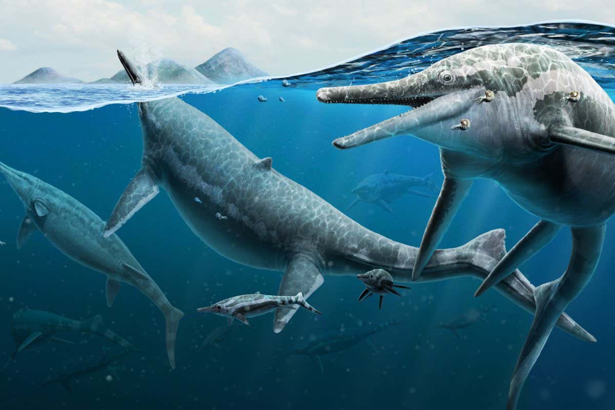 Illustration of a group of ichthyosaurs