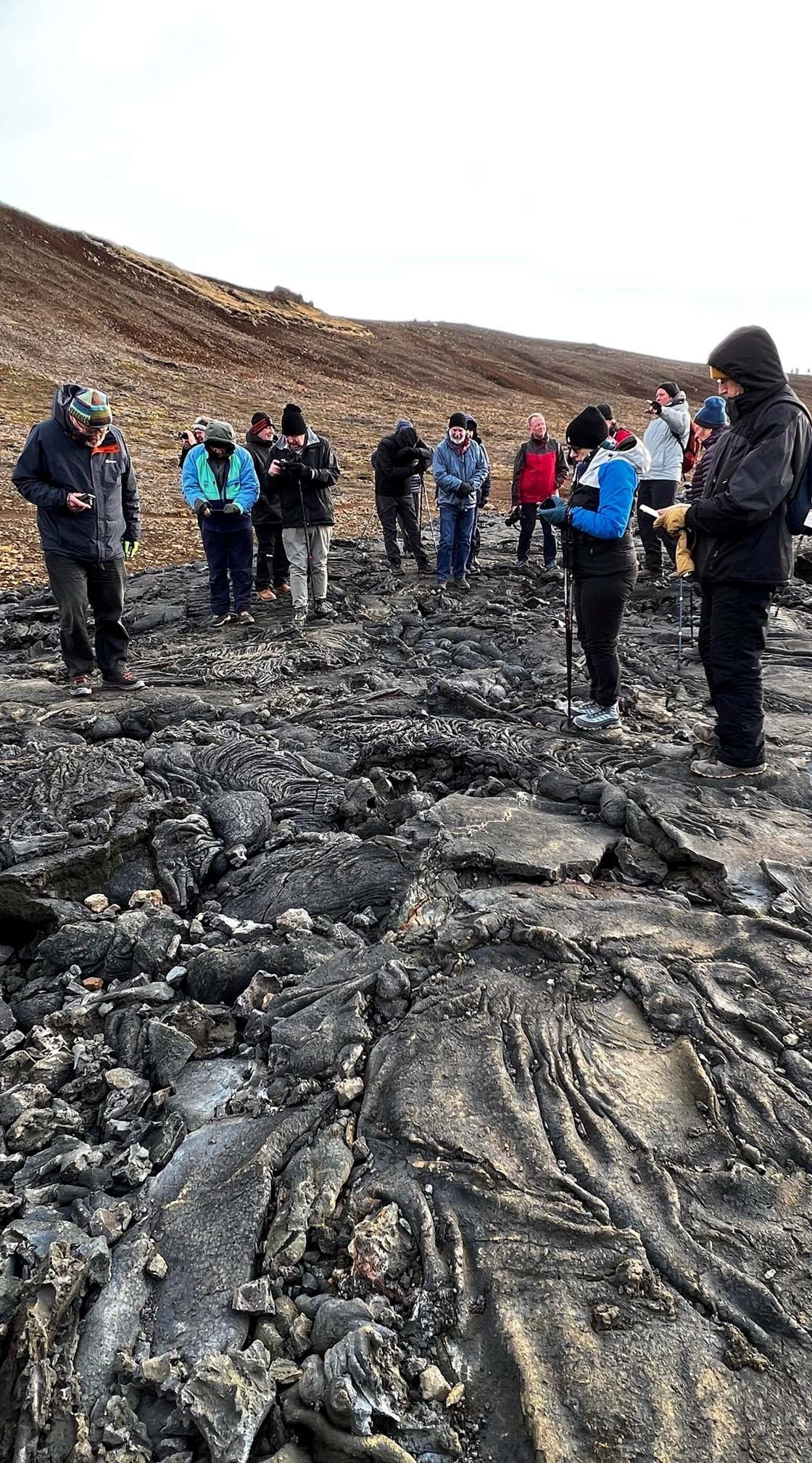 New Scientist. Science news and long reads from expert journalists, covering developments in science, technology, health and the environment on the website and the magazine.