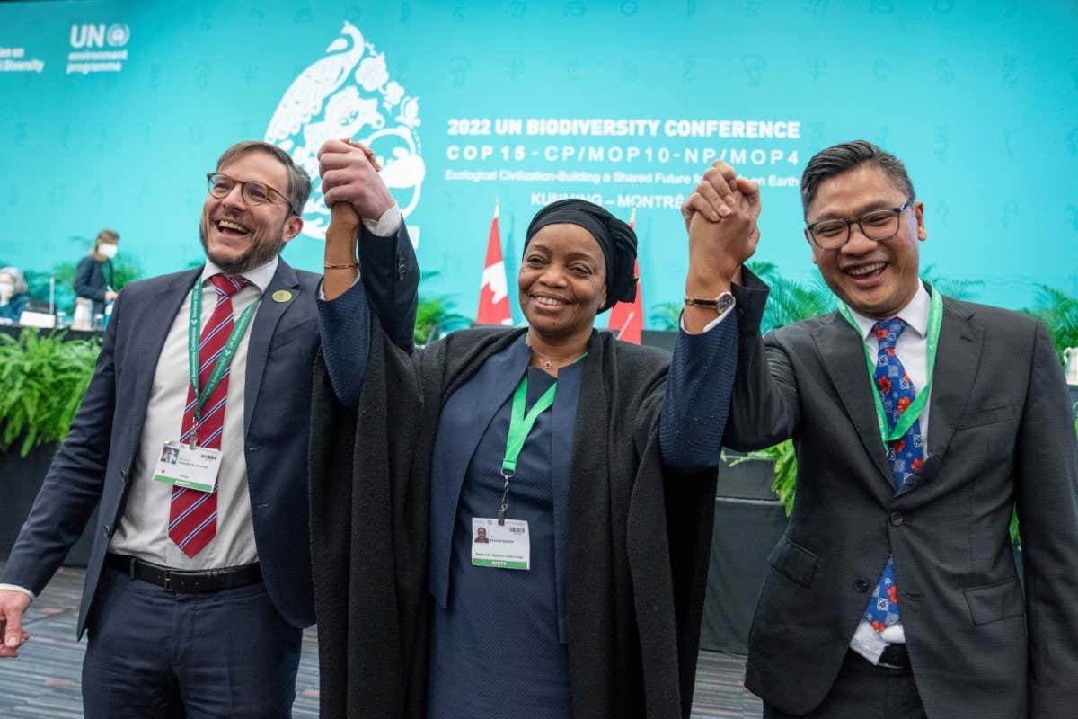 Eve Bazaiba Masudi, Vice-Prime Minister and Environment Minister of the Democratic Republic of Congo and Brazil Foreign Minister Leonardo Cleaver de Athayde, left, and Daniel Tumpal Sumurung Simanjuntak of Indonesia raises their arms following a discussion at the COP15 UN conference on biodiversity in Montreal