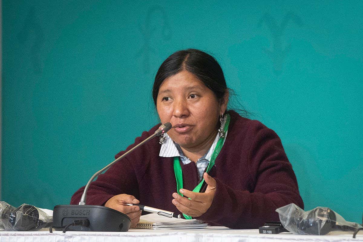 Viviana Figueroa from Argentina speaks during the International Indigenous Forum on Biodiversity at the United Nations Biodiversity Conference (COP15) in Montreal, Quebec, on December 16, 2022. (Photo by Lars Hagberg / AFP) (Photo by LARS HAGBERG/AFP via Getty Images)