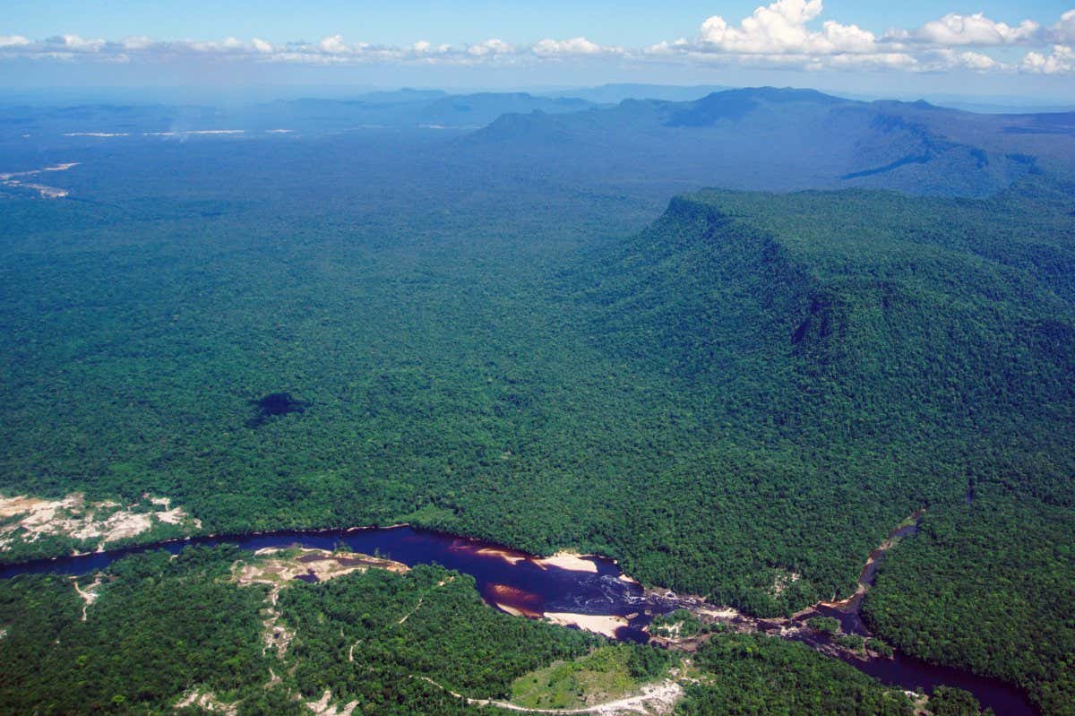 Aerial view of the Potaro River running across the Kaieteur National Park which sits in a section of the Amazon rainforest in the Potaro-Siparuni region of Guyana, taken on September 24, 2022. - Despite the dispute with Guyana, the Esequibo region is a destination of migration from Venezuela. Guyana defends a limit established in 1899 by an arbitration court in Paris, while Venezuela claims the Geneva Agreement, signed in 1966 with the United Kingdom before Guyanese independence, which established the basis for a negotiated solution and ignored the previous treaty. But the Guyanese government is promoting a process in the International Court of Justice (ICJ) to ratify the current borders and put an end to the dispute. (Photo by Patrick FORT / AFP) (Photo by PATRICK FORT/AFP via Getty Images)