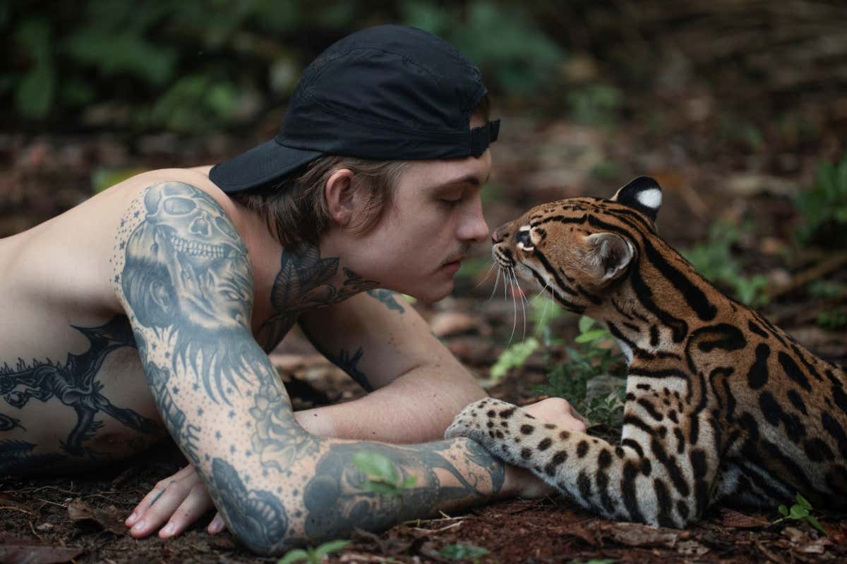 Wildcat review: Come for cute animals, stay for nuanced psychology