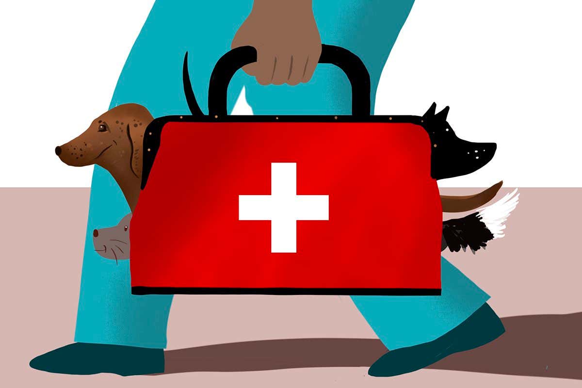 On whether dogs should, or should not, visit hospitals