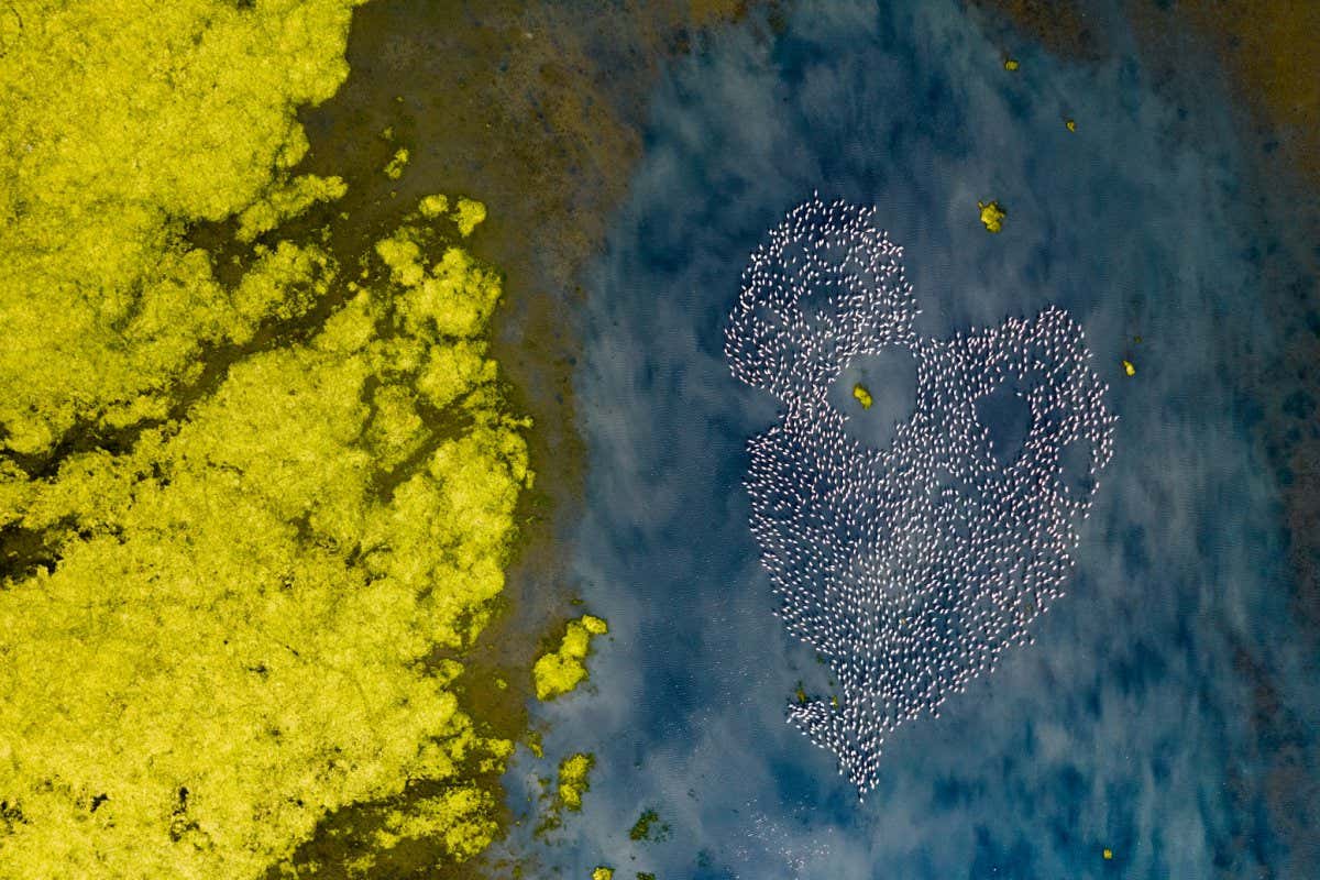 New Scientist. Science news and long reads from expert journalists, covering developments in science, technology, health and the environment on the website and the magazine.