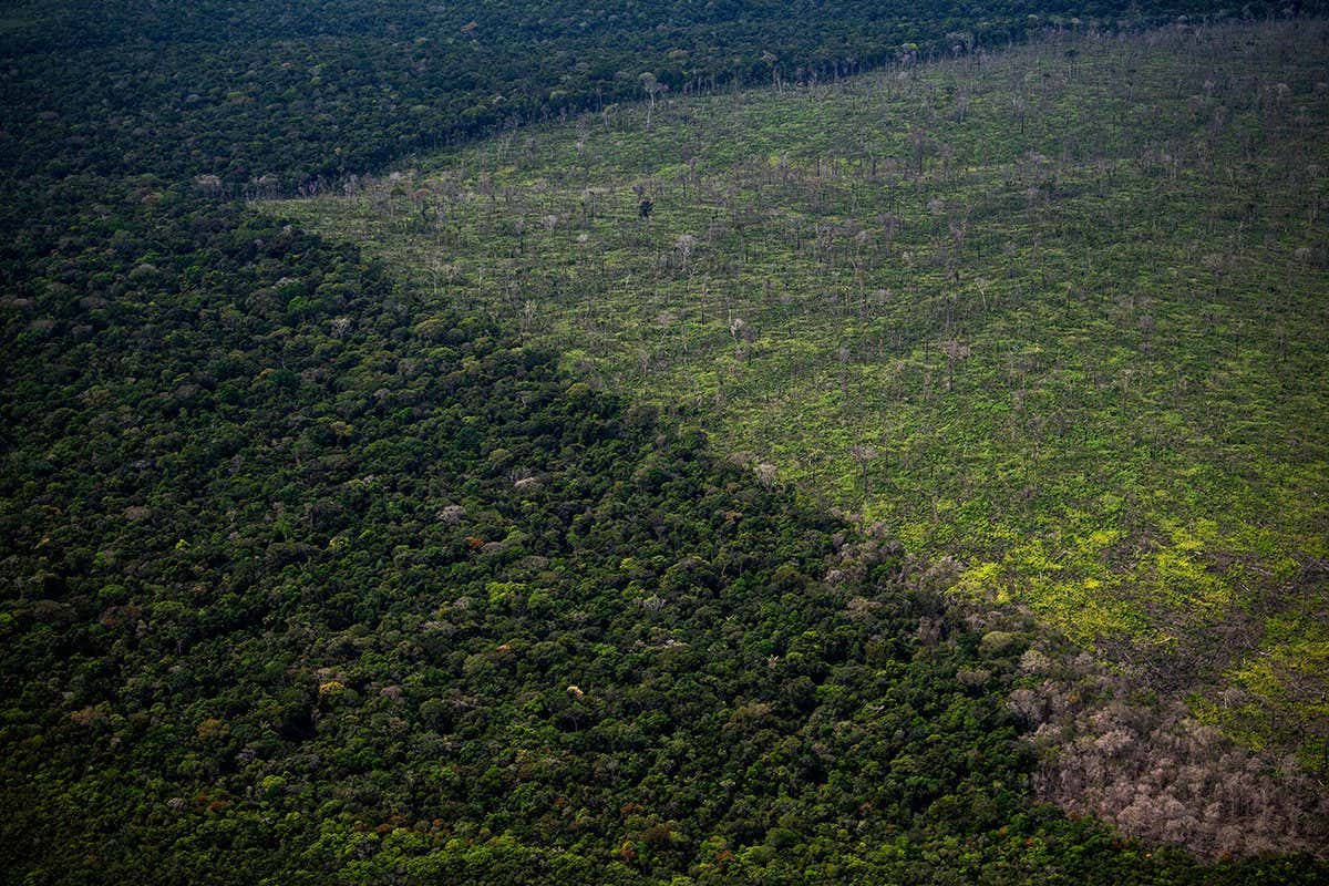 Aerial view showing a deforested area of the Amazon rainforest seen during a flight between Manaus and Manicore, in Amazonas State, Brazil, on June 6, 2022. - The way for man's lust over the Amazonian richness is open at the 
